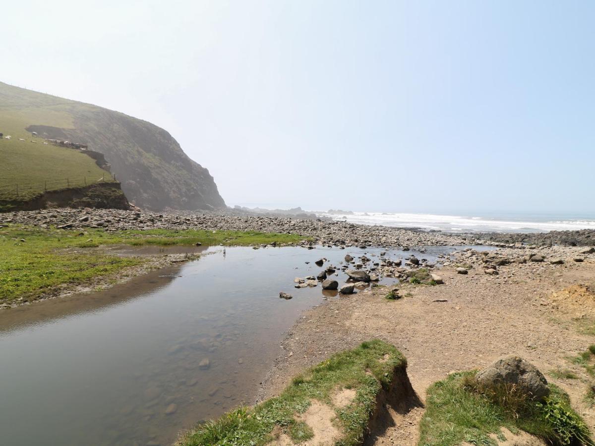 Swallow Cottage Bude Exterior foto